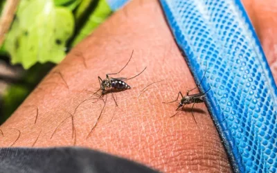 U0noO8xij2iMzoznZ6i7