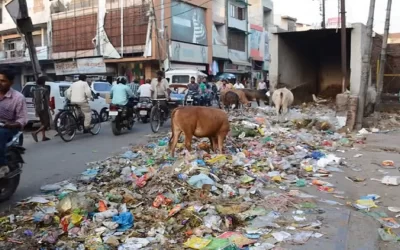 UW75q1Odvaif5N4gT5Ud