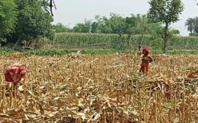 UahuliLt2sfRxOM5ILTA