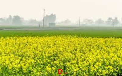 VH1CroPQlQfvAkMj12Ir