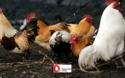 VdQZ7LWgoS5VgtyjhuUi