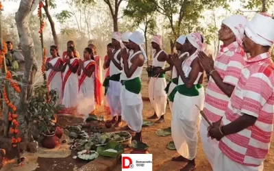 VpnQ63z3SV5wtHw0TZId