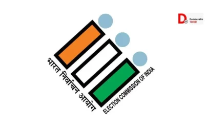 WfkfdsAE0zzjVvRdTY7P