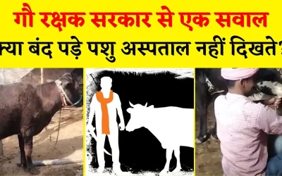 X2BrsmQYNs1iyEnyjGKF