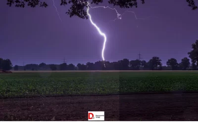 Y677yujZuKtKyHxVCliW