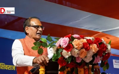 YiSlouq6yU5pTptsLpvK