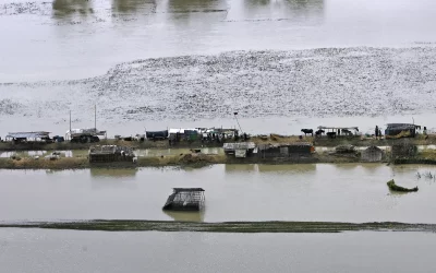 Yk5ei4qlm8YFGTw33Y8R