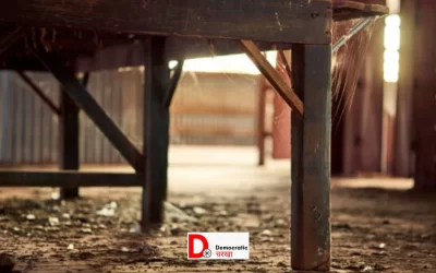 Z7sOpd7REG3MS0QfEFaL