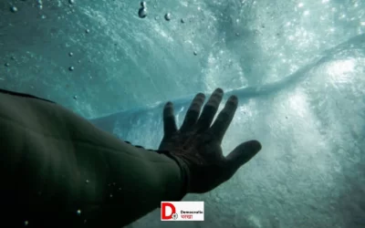 ZSJkPrq913lgvJEPtGeS