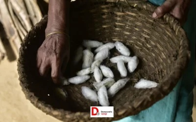 ZTJ83s03IBCtR4D4OfDl