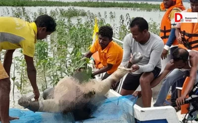 Zkk2WsLNXUx9h3h8C9wk