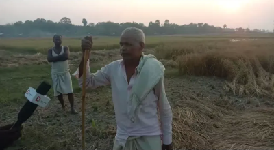 amWdtTZR7N0WQr77ob79