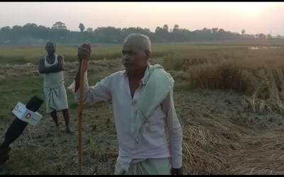 amWdtTZR7N0WQr77ob79