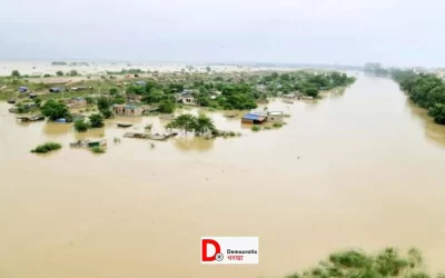 bDlLVUfbzwULoBNhsKyu