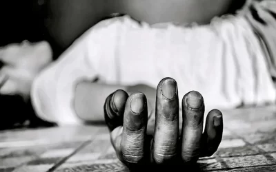 bNt7zgQtYzTxtQTf817i