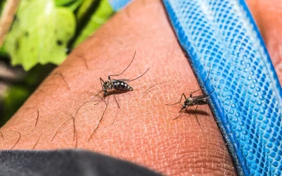 c50wglTLGQ0R4oUYen38