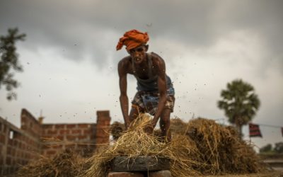 c7u8l5RAlZ6KFFsxgwB3