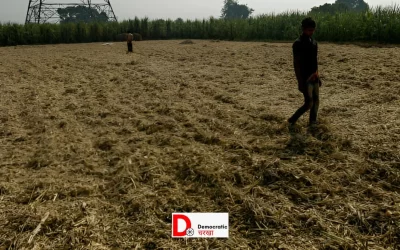 c8RP8zxESdyKDQm09Gax