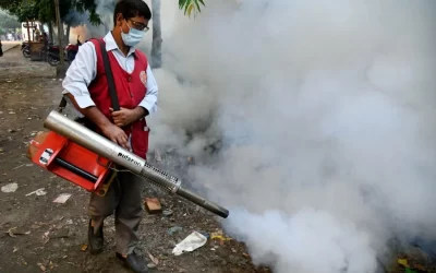 dFgUDlTRJea1lu27ncqZ