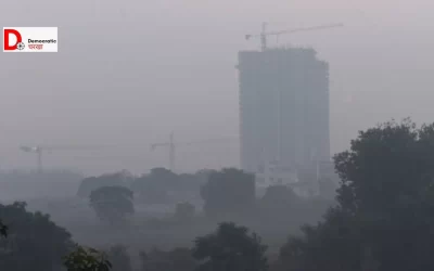 dLWIxQm7g4GQzy2PyNSR