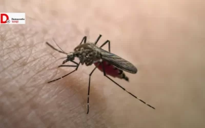 dyaa2eBMmPRTT62f4jsu