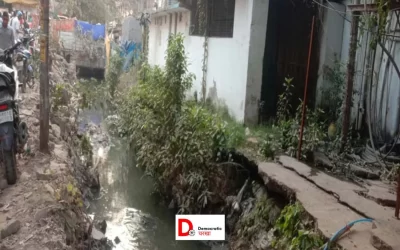 e4Q65aomuw7RE48l3Vq1