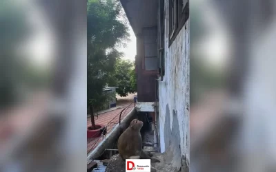 eAnMvyvK1MMv4SVPCxyd