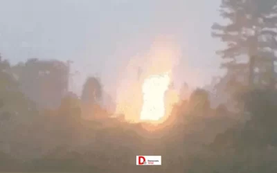 el2RI1CceDzkOqbkSNxS