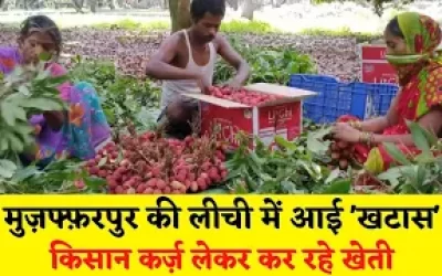 euCo2297FswLwfZMyQxs