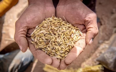 f9HIOjZYGJuwOq6OFGTf