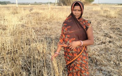 fK9Q1StxDABwZ02G9H6G