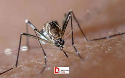 fQVxF9eDthalKYkeMHPw