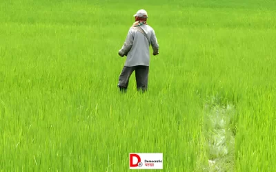 fm0veokgYWBPE7gkRfs5