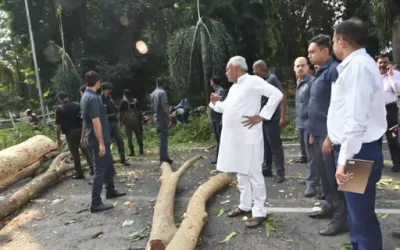 ghFQ0LJGtQpuGfTCfbji