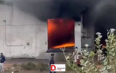 gm0USohjS6e8miVsdzrW