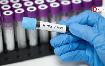 jcBbSavKzwPdMoTzbjxz