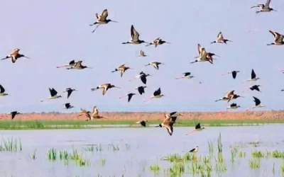 jd3XXjOL82UGQyqfrDVv