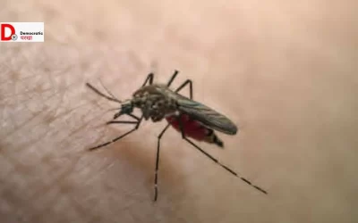 jpw2dRRkBwmjSndb5Atq