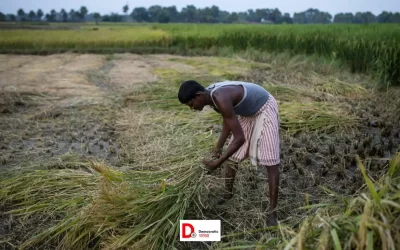 kEvsfAikDD7mrcxbJzVI