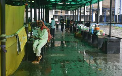 kMSioz5gAnUhlJkVIxfp