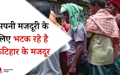 knfk7tK2rt3duiks4qSN