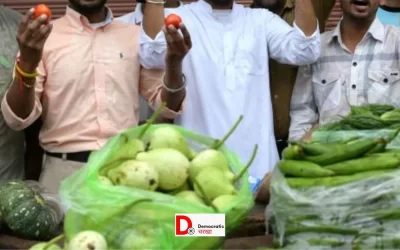 l88377aKlcJtZ1pM3DIy