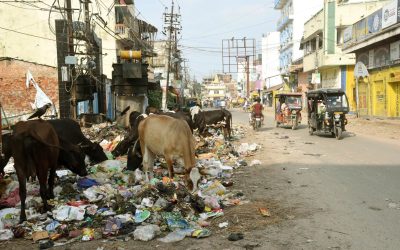 lGJEpb4Bchimfjo0plnH