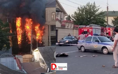 lLfSKuf8DfD1kjwWuHPV