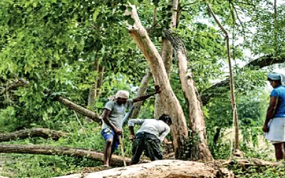 mC1wE5ojsgtIU1ay88oL