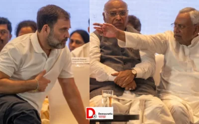 mL84YuajuYDEXukeVfLE