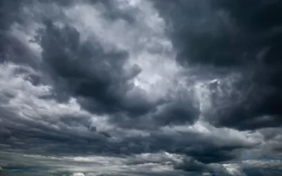 mpo4RRziu8X2vKLV5KGp