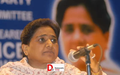 nmqFU0Svbrgdqonh3dtP