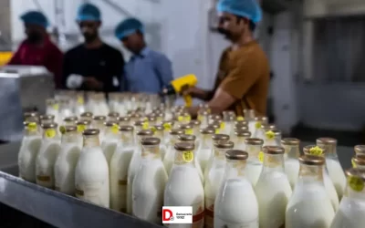 oXKCLCivihUOLjfO1cft