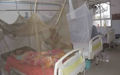 q3nAu1I4DFEobIhuqaoE